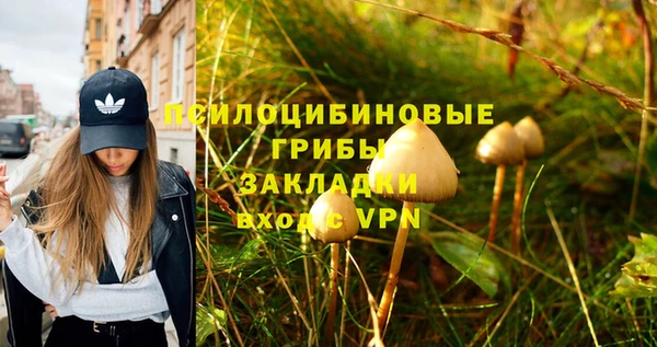 дмт Надым