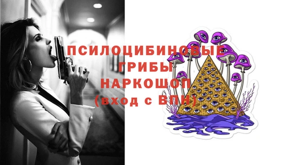 дмт Надым