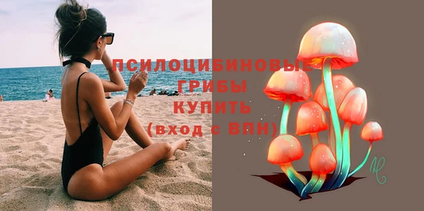 ПСИЛОЦИБИНОВЫЕ ГРИБЫ Навашино