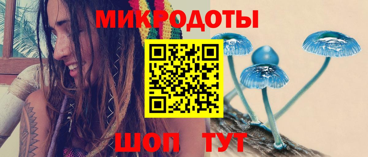 Галлюциногенные грибы Psilocybine cubensis Приморско-Ахтарск