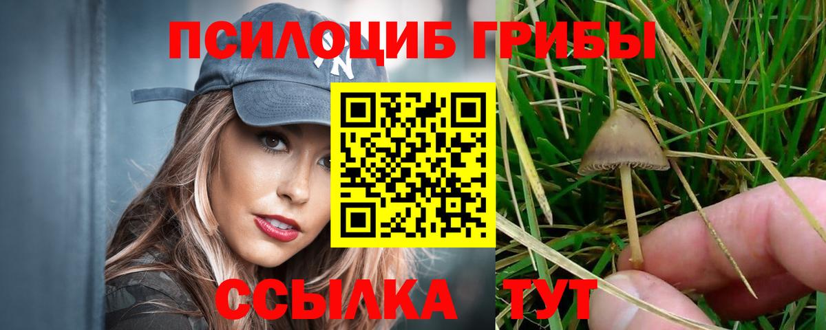 Галлюциногенные грибы MAGIC MUSHROOMS  Вход с VPN  Приморско-Ахтарск  Псилоцибиновые грибы ЛСД 